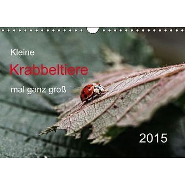 Kleine Krabbeltiere mal ganz groß (Wandkalender 2015 DIN A4 quer), Hernegger Arnold