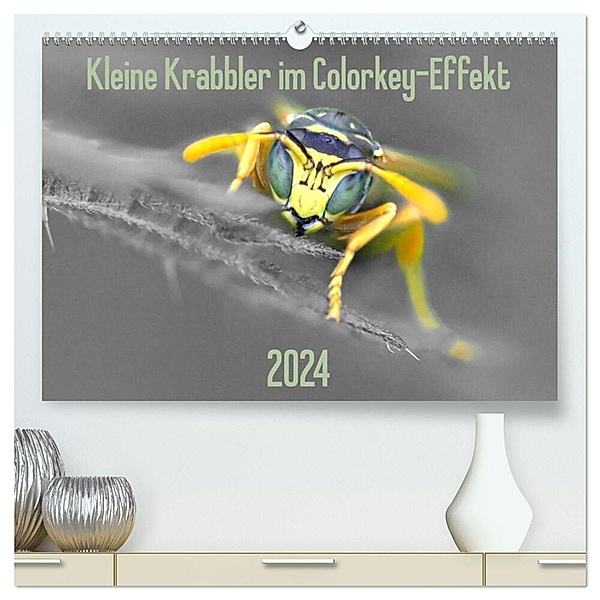 Kleine Krabbler im Colorkey-Effekt (hochwertiger Premium Wandkalender 2024 DIN A2 quer), Kunstdruck in Hochglanz, Dany´s Blickwinkel