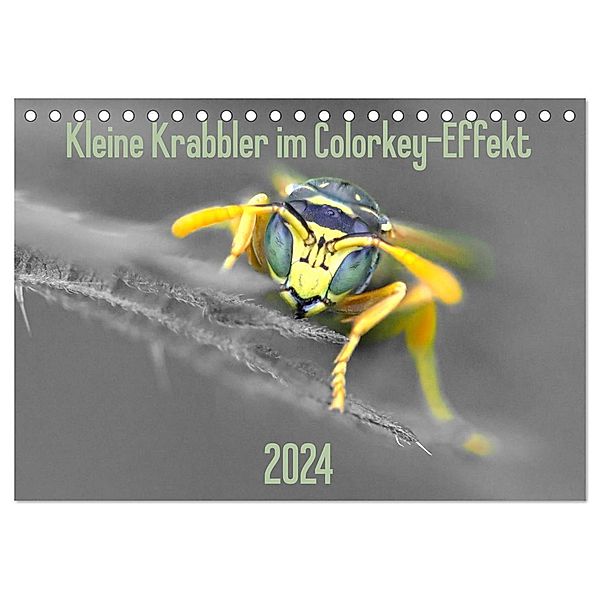 Kleine Krabbler im Colorkey-Effekt (Tischkalender 2024 DIN A5 quer), CALVENDO Monatskalender, Dany´s Blickwinkel