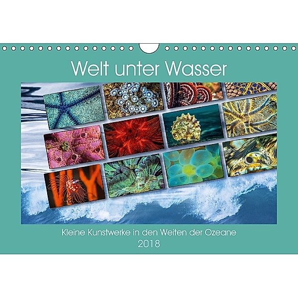 Kleine Kunstwerke in den Weiten der Ozeane (Wandkalender 2018 DIN A4 quer), Dieter Gödecke