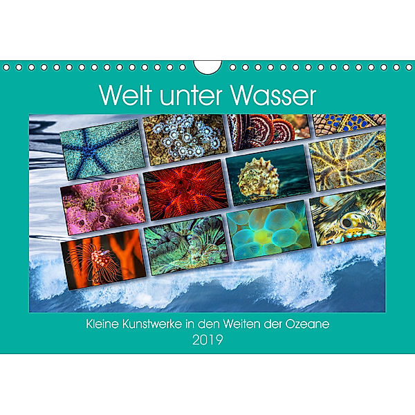Kleine Kunstwerke in den Weiten der Ozeane (Wandkalender 2019 DIN A4 quer), Dieter Gödecke