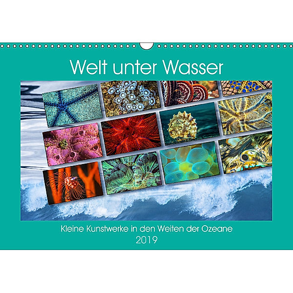 Kleine Kunstwerke in den Weiten der Ozeane (Wandkalender 2019 DIN A3 quer), Dieter Gödecke