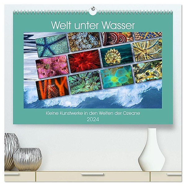 Kleine Kunstwerke in den Weiten der Ozeane (hochwertiger Premium Wandkalender 2024 DIN A2 quer), Kunstdruck in Hochglanz, Dieter Gödecke
