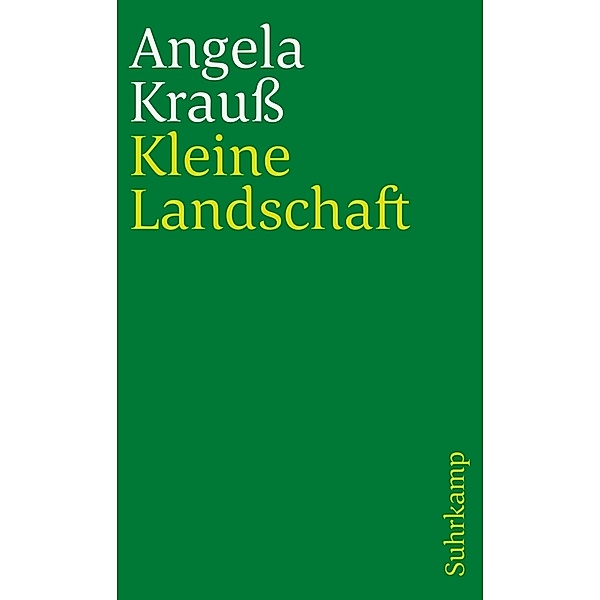 Kleine Landschaft, Angela Krauß