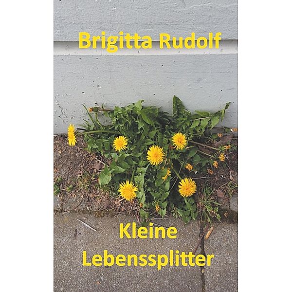 Kleine Lebenssplitter, Brigitta Rudolf