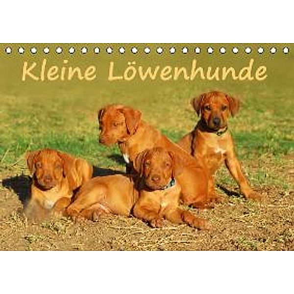 Kleine Löwenhunde AT-Version (Tischkalender 2016 DIN A5 quer), Anke van Wyk