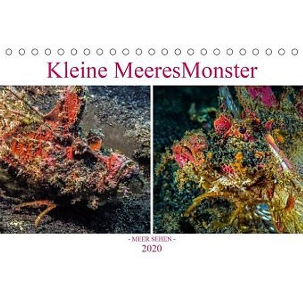 Kleine MeeresMonster (Tischkalender 2020 DIN A5 quer), Dieter Gödecke