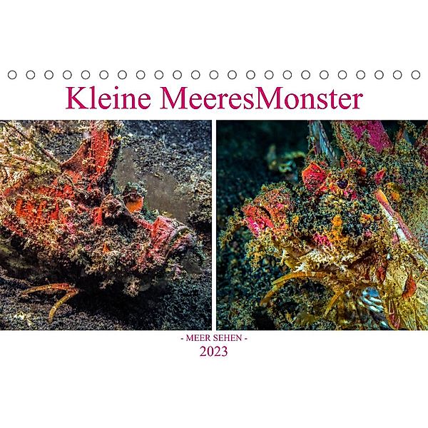 Kleine MeeresMonster (Tischkalender 2023 DIN A5 quer), Dieter Gödecke