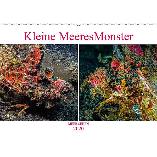 Kleine MeeresMonster (Wandkalender 2020 DIN A2 quer), Dieter Gödecke