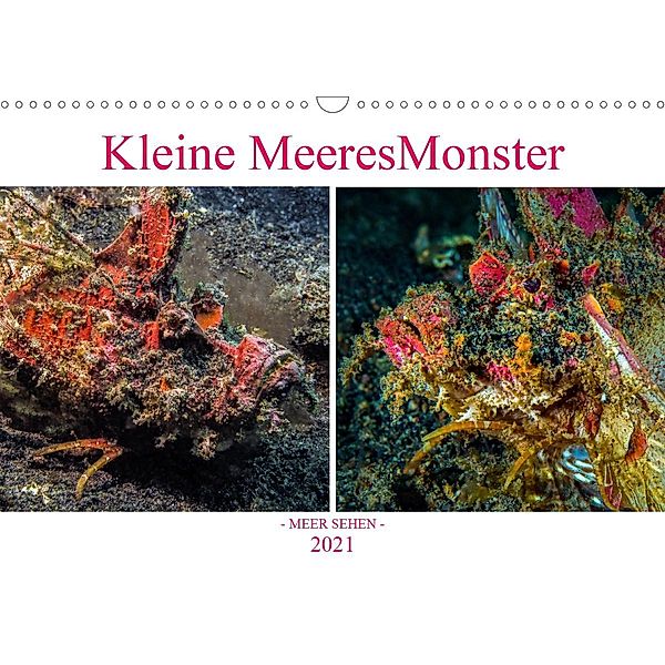 Kleine MeeresMonster (Wandkalender 2021 DIN A3 quer), Dieter Gödecke