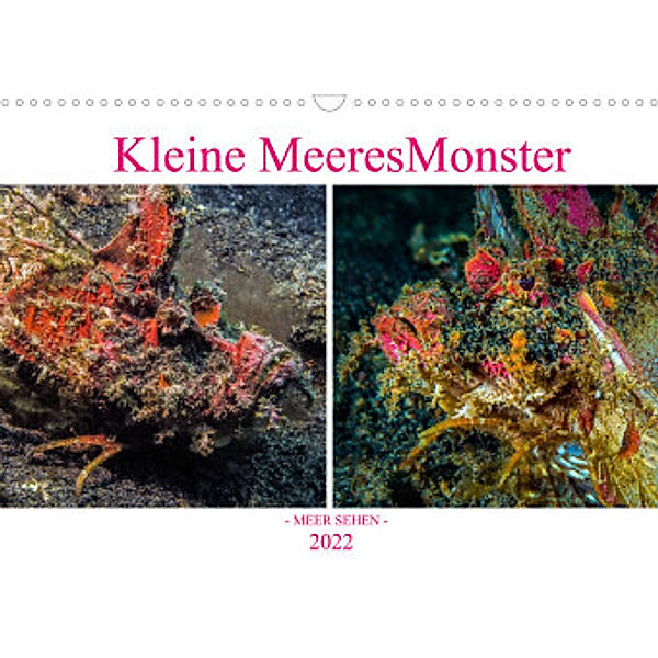 Kleine MeeresMonster (Wandkalender 2022 DIN A3 quer), Dieter Gödecke