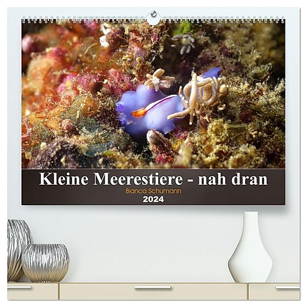 Kleine Meerestiere - nah dran (hochwertiger Premium Wandkalender 2024 DIN A2 quer), Kunstdruck in Hochglanz, Bianca Schumann