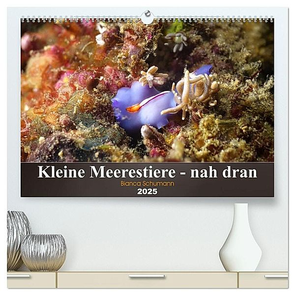 Kleine Meerestiere - nah dran (hochwertiger Premium Wandkalender 2025 DIN A2 quer), Kunstdruck in Hochglanz, Calvendo, Bianca Schumann