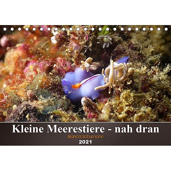 Kleine Meerestiere - nah dran (Tischkalender 2021 DIN A5 quer), Bianca Schumann