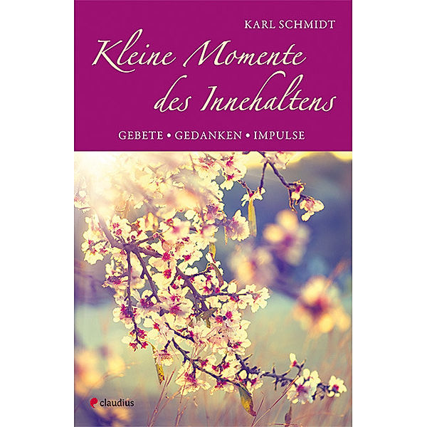 Kleine Momente des Innehaltens, Karl Schmidt