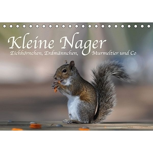 Kleine Nager - Eichhörnchen Erdmännchen, Murmeltier und Co (Tischkalender 2017 DIN A5 quer), Robert Styppa