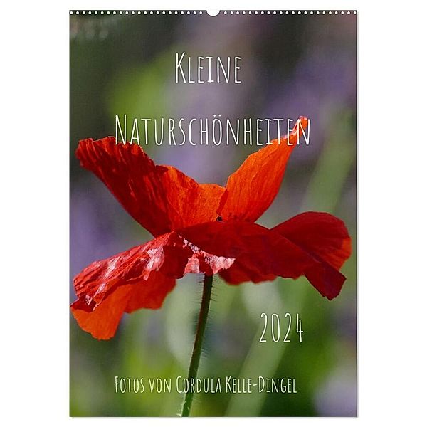 Kleine Naturschönheiten (Wandkalender 2024 DIN A2 hoch), CALVENDO Monatskalender, CoKeDi - Photographie, Cordula Kelle-Dingel