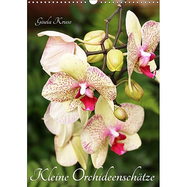 Kleine Orchideenschätze (Wandkalender 2021 DIN A3 hoch), Gisela Kruse