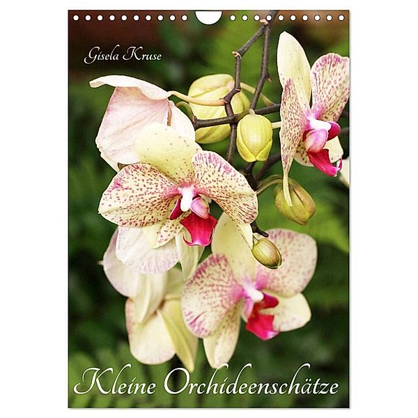 Kleine Orchideenschätze (Wandkalender 2024 DIN A4 hoch), CALVENDO Monatskalender, Gisela Kruse