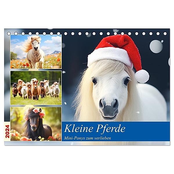 Kleine Pferde. Mini-Ponys zum verlieben (Tischkalender 2024 DIN A5 quer), CALVENDO Monatskalender, Calvendo, Rose Hurley