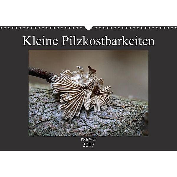 Kleine Pilzkostbarkeiten (Wandkalender 2017 DIN A3 quer), Pörli Won