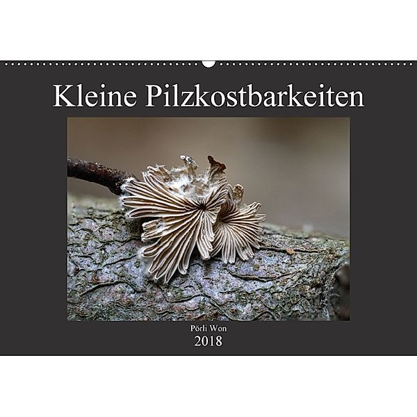 Kleine Pilzkostbarkeiten (Wandkalender 2018 DIN A2 quer), Pörli Won