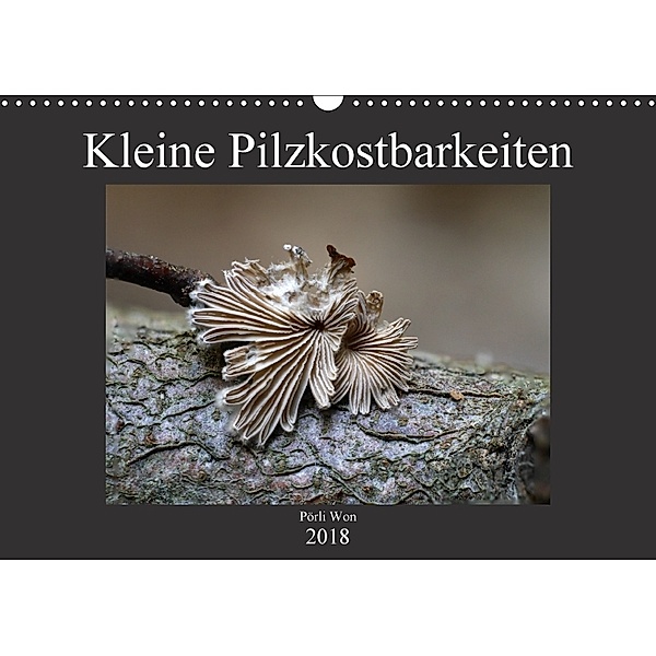 Kleine Pilzkostbarkeiten (Wandkalender 2018 DIN A3 quer), Pörli Won