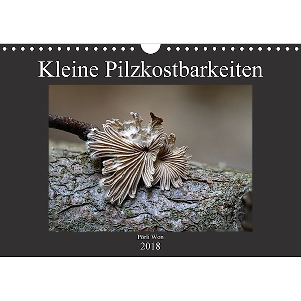 Kleine Pilzkostbarkeiten (Wandkalender 2018 DIN A4 quer), Pörli Won