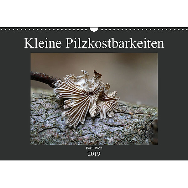 Kleine Pilzkostbarkeiten (Wandkalender 2019 DIN A3 quer), Pörli Won