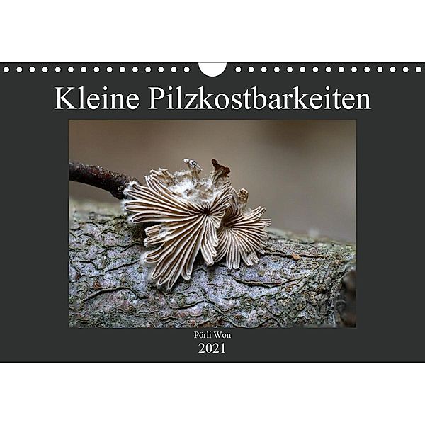 Kleine Pilzkostbarkeiten (Wandkalender 2021 DIN A4 quer), Pörli Won