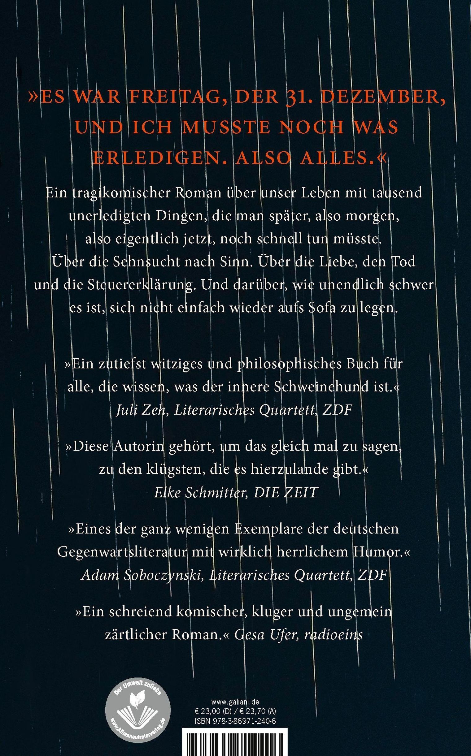 Kleine Probleme Buch von Nele Pollatschek versandkostenfrei