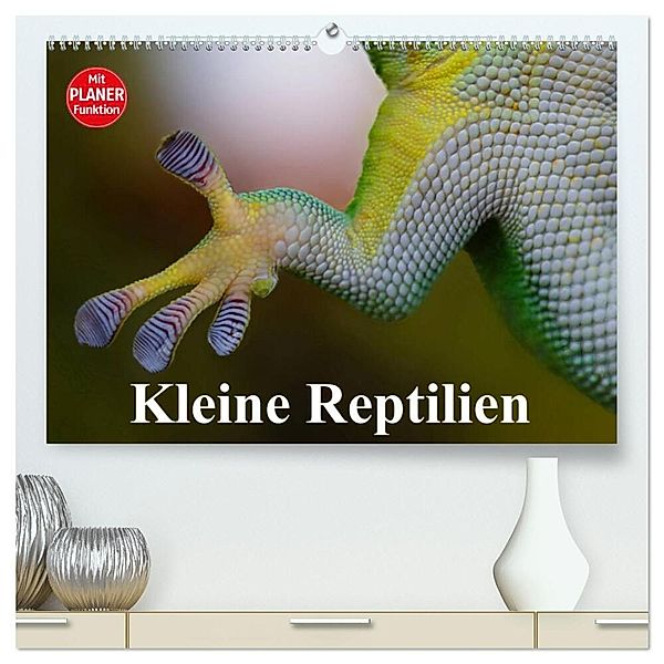 Kleine Reptilien (hochwertiger Premium Wandkalender 2024 DIN A2 quer), Kunstdruck in Hochglanz, Elisabeth Stanzer