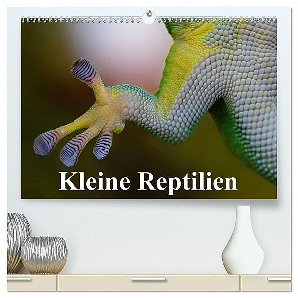 Kleine Reptilien (hochwertiger Premium Wandkalender 2024 DIN A2 quer), Kunstdruck in Hochglanz, Elisabeth Stanzer