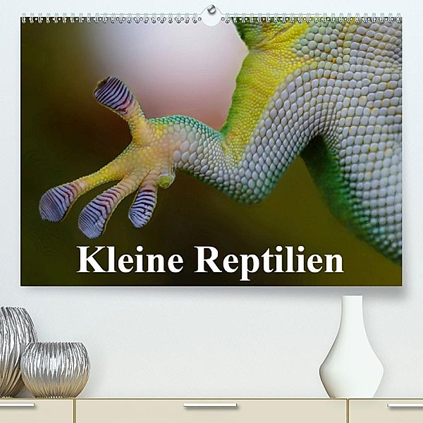 Kleine Reptilien (Premium-Kalender 2020 DIN A2 quer), Elisabeth Stanzer