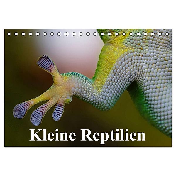 Kleine Reptilien (Tischkalender 2024 DIN A5 quer), CALVENDO Monatskalender, Elisabeth Stanzer