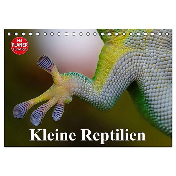 Kleine Reptilien (Tischkalender 2024 DIN A5 quer), CALVENDO Monatskalender, Elisabeth Stanzer