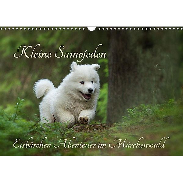 Kleine Samojeden - Eisbärchen Abenteuer im Märchenwald (Wandkalender 2021 DIN A3 quer), Claudia Pelzer