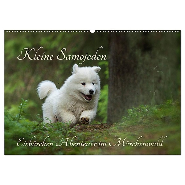 Kleine Samojeden - Eisbärchen Abenteuer im Märchenwald (Wandkalender 2024 DIN A2 quer), CALVENDO Monatskalender, Claudia Pelzer / www.Pelzer-Photography.com