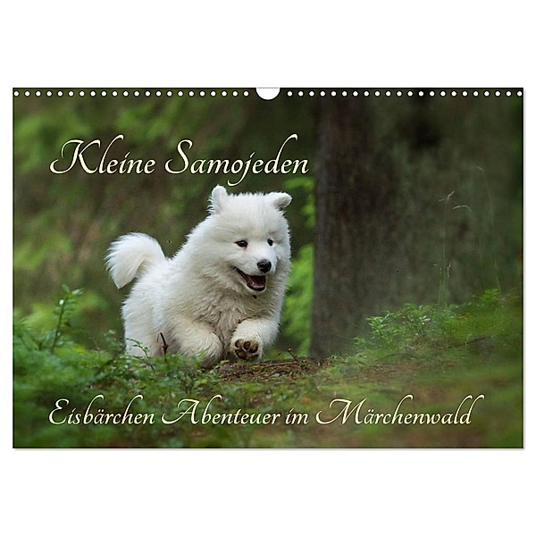 Kleine Samojeden - Eisbärchen Abenteuer im Märchenwald (Wandkalender 2024 DIN A3 quer), CALVENDO Monatskalender, Claudia Pelzer / www.Pelzer-Photography.com