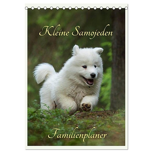 Kleine Samojeden (Tischkalender 2024 DIN A5 hoch), CALVENDO Monatskalender, Claudia Pelzer / www.Pelzer-Photography.com