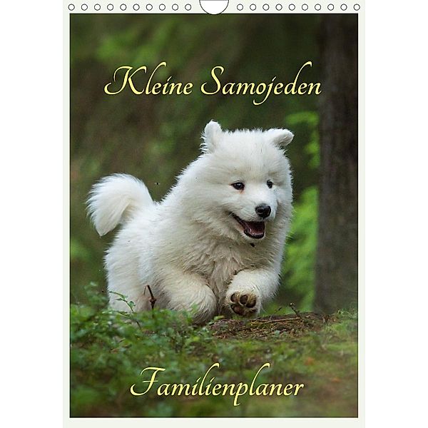 Kleine Samojeden (Wandkalender 2021 DIN A4 hoch), Claudia Pelzer