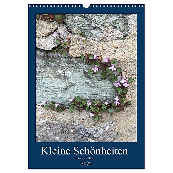 Kleine Schönheiten an Stein (Wandkalender 2024 DIN A3 hoch), CALVENDO Monatskalender, Gabi Zapf