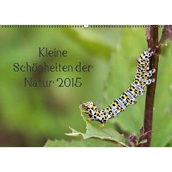 Kleine Schönheiten der Natur (Wandkalender 2015 DIN A2 quer), Marlen Rasche