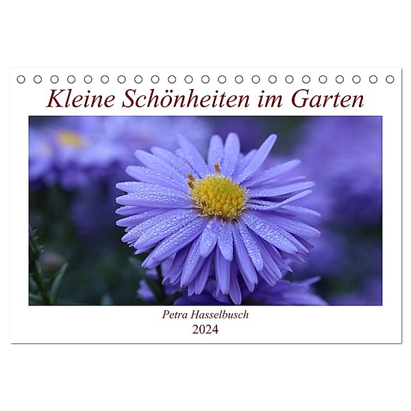 Kleine Schönheiten im Garten (Tischkalender 2024 DIN A5 quer), CALVENDO Monatskalender, Petra Hasselbusch