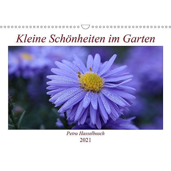 Kleine Schönheiten im Garten (Wandkalender 2021 DIN A3 quer), Petra Hasselbusch