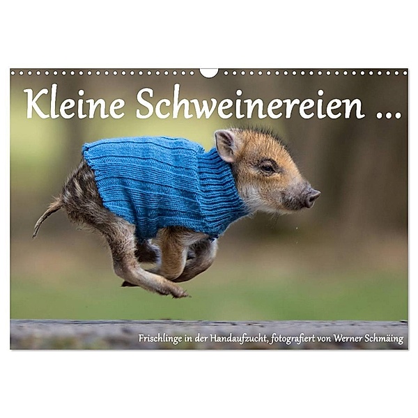 Kleine Schweinereien (Wandkalender 2024 DIN A3 quer), CALVENDO Monatskalender, Werner Schmäing