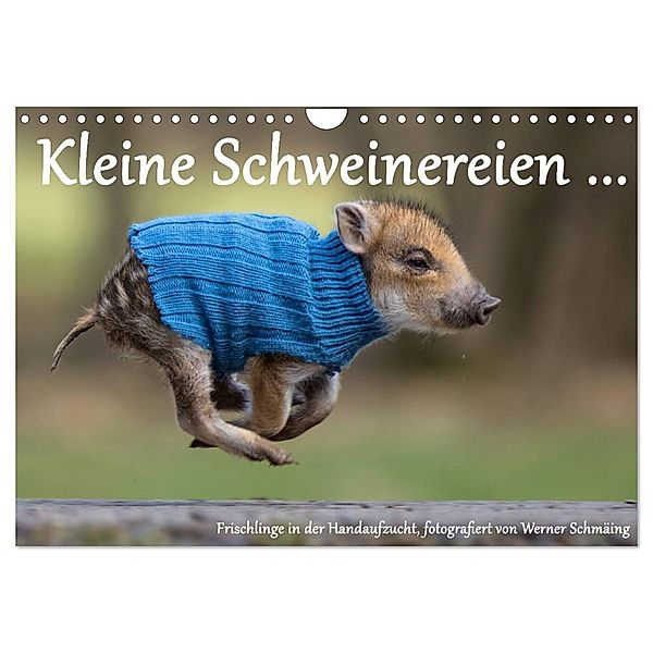 Kleine Schweinereien (Wandkalender 2024 DIN A4 quer), CALVENDO Monatskalender, Werner Schmäing