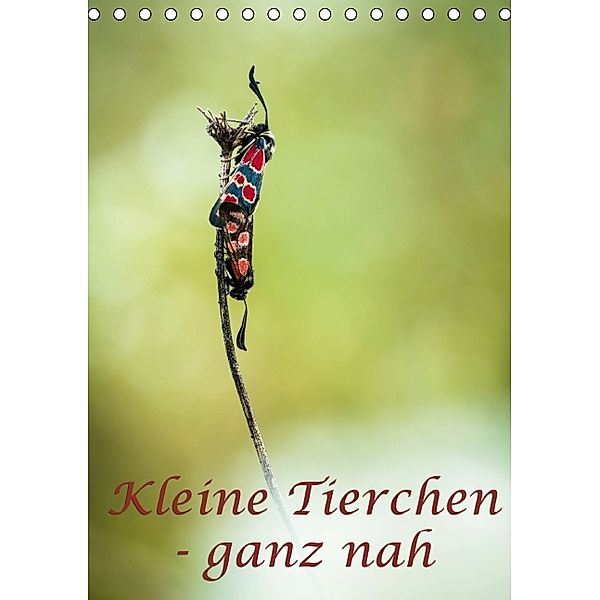 Kleine Tierchen - ganz nah (Tischkalender immerwährend DIN A5 hoch), Alexander Kulla