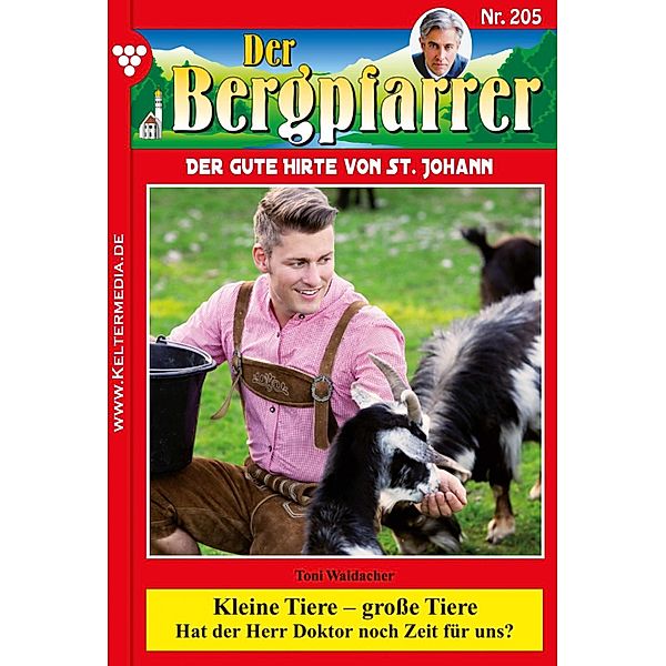 Kleine Tiere - große Tiere / Der Bergpfarrer Bd.205, TONI WAIDACHER