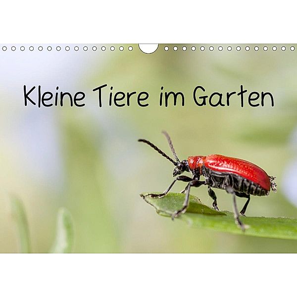 Kleine Tiere im Garten (Wandkalender 2020 DIN A4 quer), Xenia Schlossherr